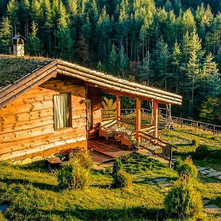 Панорама Хаус Лещен И Еко Къщи Дървена И Землянка Kültér fotó