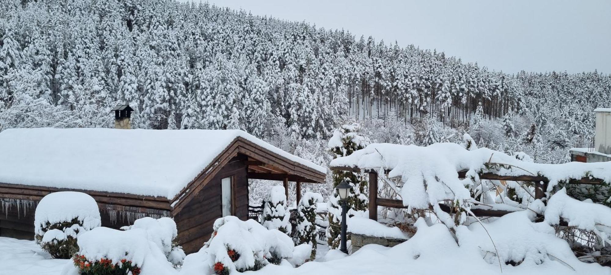 Панорама Хаус Лещен И Еко Къщи Дървена И Землянка Kültér fotó