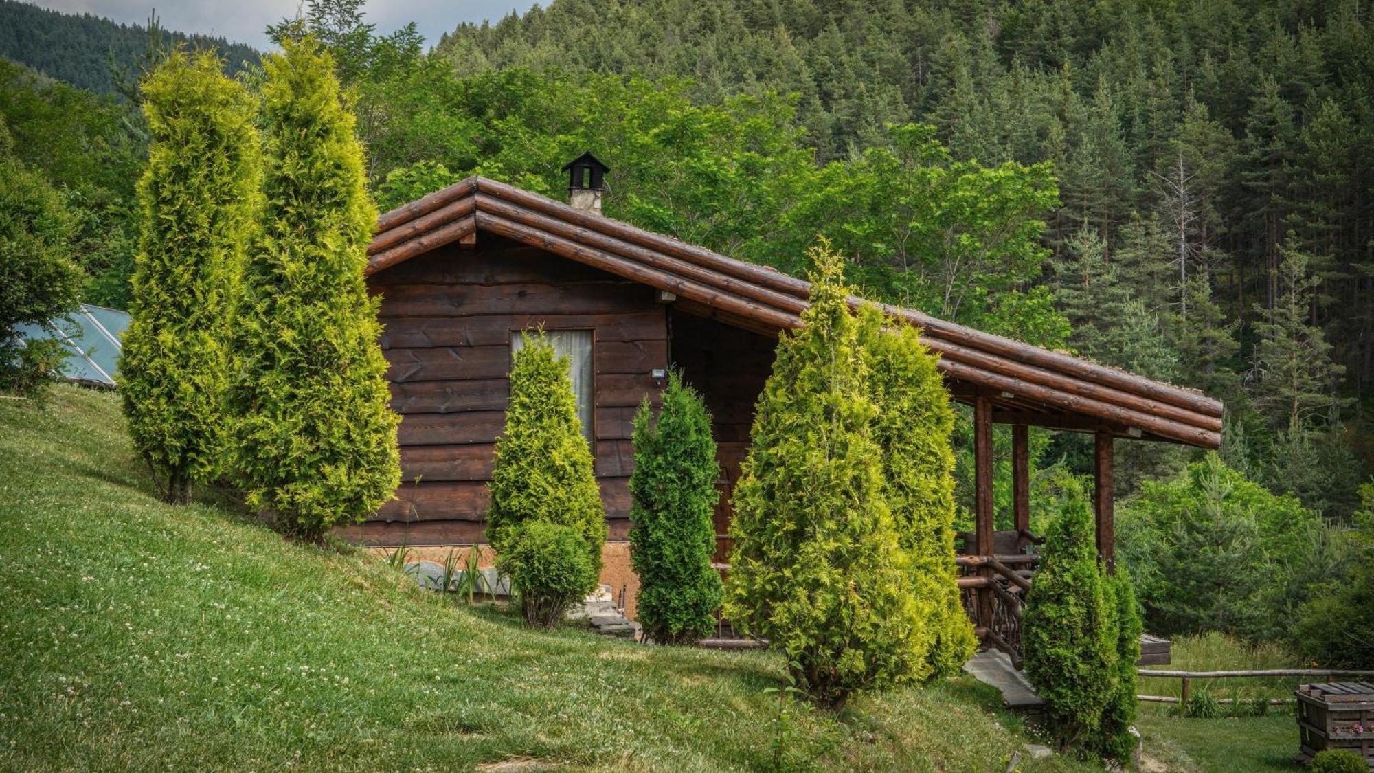 Панорама Хаус Лещен И Еко Къщи Дървена И Землянка Kültér fotó