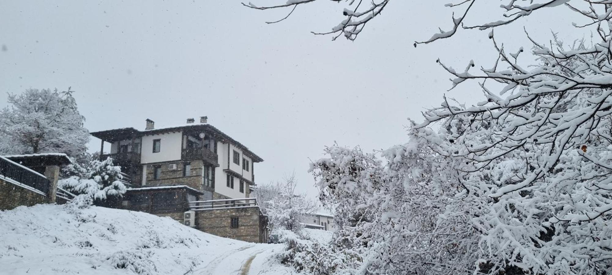 Панорама Хаус Лещен И Еко Къщи Дървена И Землянка Kültér fotó